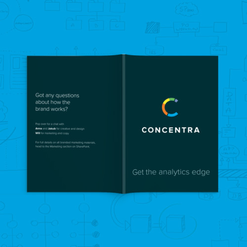 Concentra-brand-booklet-header